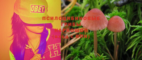 гашик Краснотурьинск